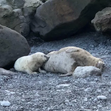 Дом отдыха Mill